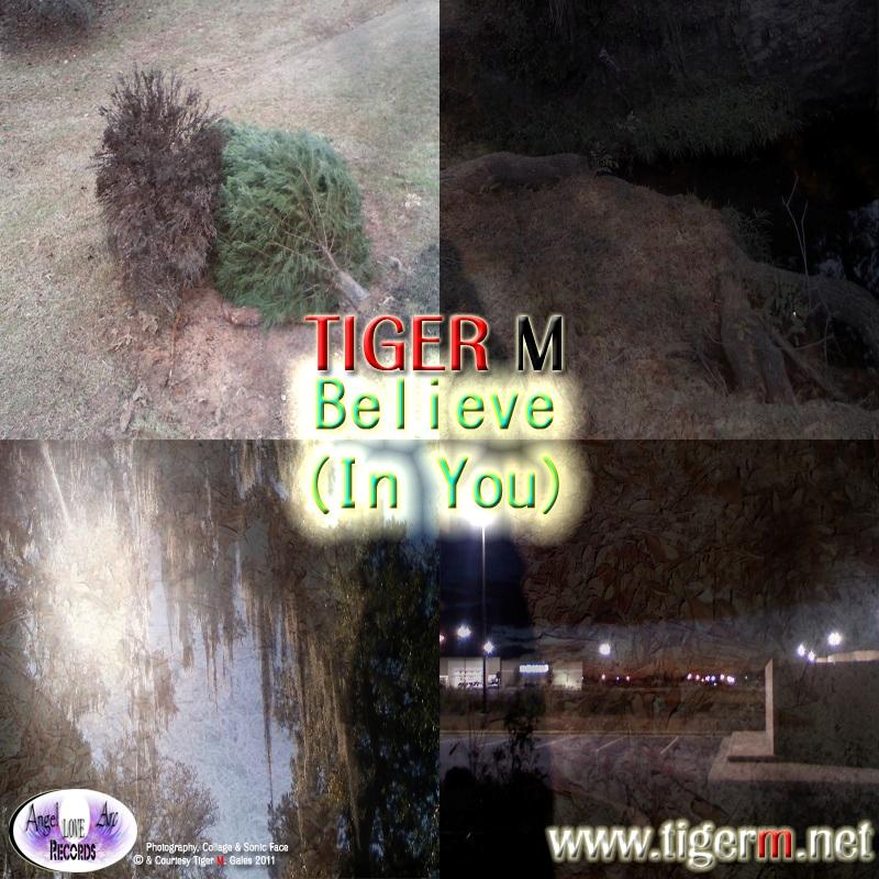 TIGERM.NET - TIGER M - Believe In You (Original Mix)