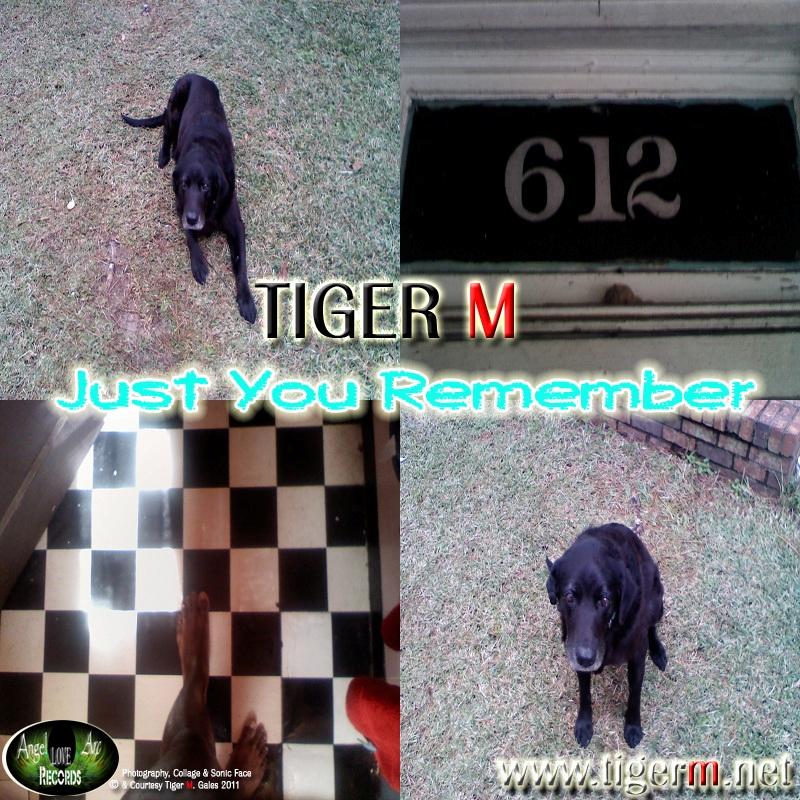 TIGERM.NET - TIGER M - Just You Rememeber (Original Mix)