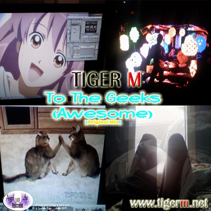 TIGERM.NET - TIGER M - To The Geeks [Awesome] (Original Mix)