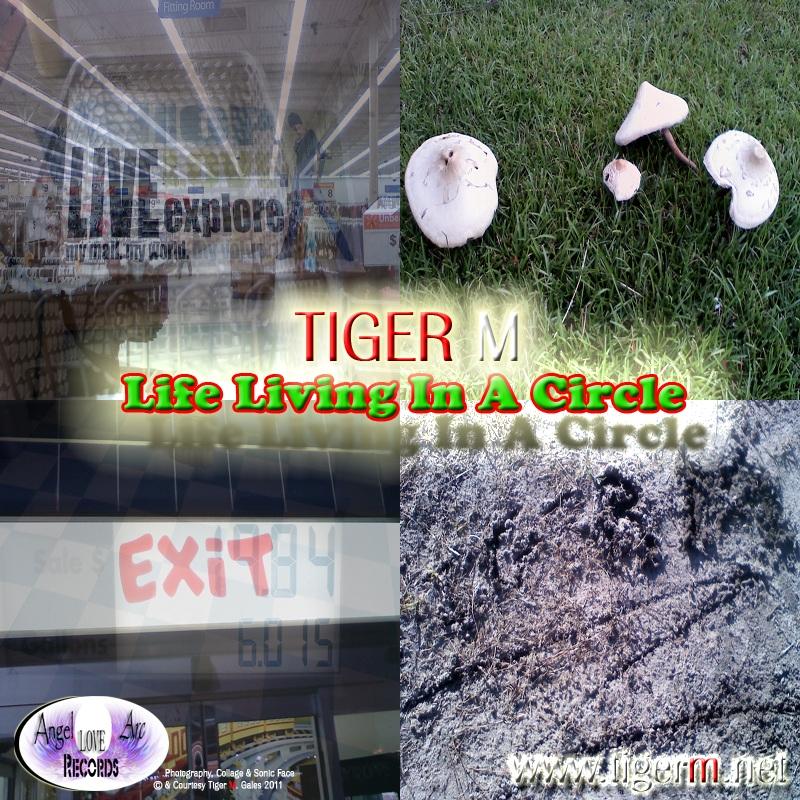 TIGERM.NET - TIGER M - Life Living In A Circle (Original Mix)