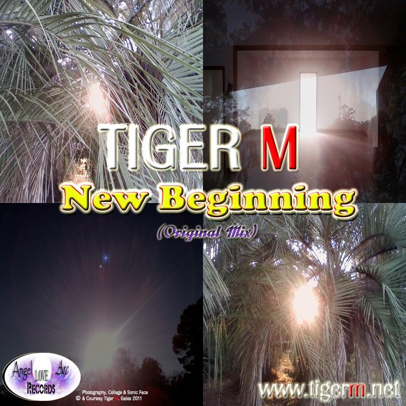 TIGERM.NET - TIGER M - New Beginning (Original Mix)