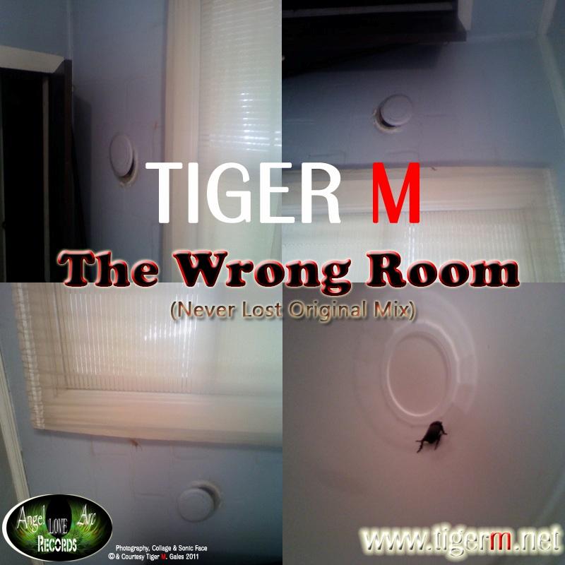 TIGERM.NET - TIGER M - The Wrong Room (Never Lost Original Mix)
