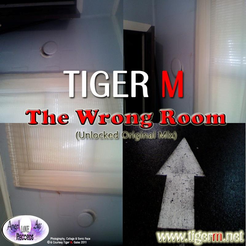 TIGERM.NET - TIGER M - The Wrong Room (Unlocked Original Mix)