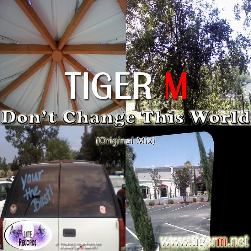 TIGERM.NET - TIGER M - Don't Change This World (Original Mix)