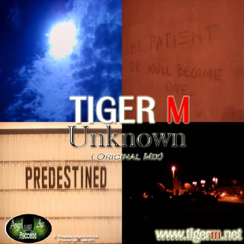 TIGERM.NET - TIGER M - Unknown (Original Mix)
