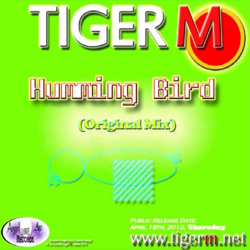 TIGERM.NET - TIGER M - Humming Bird (Original Mix)
