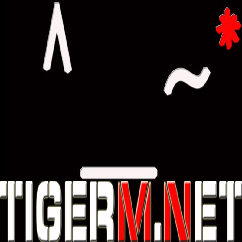 TIGERM.NET - TIGER M - TIGERM NET (Original Mix)