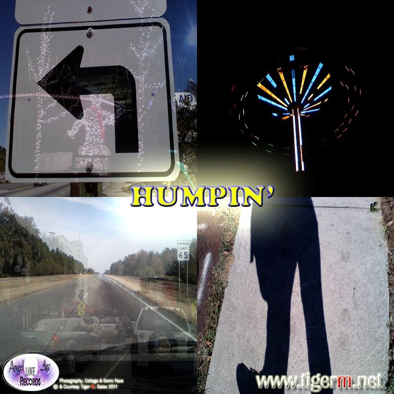 TIGERM.NET - TIGER M - Humpin' (Original Mix)