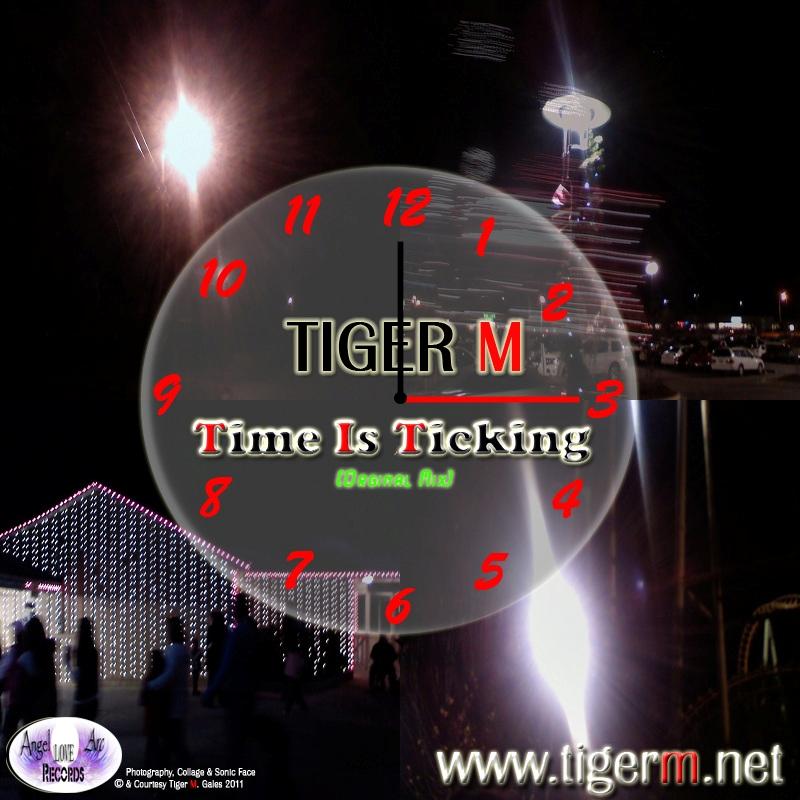 TIGERM.NET - TIGER M - Time Is Ticking (Original Mix)